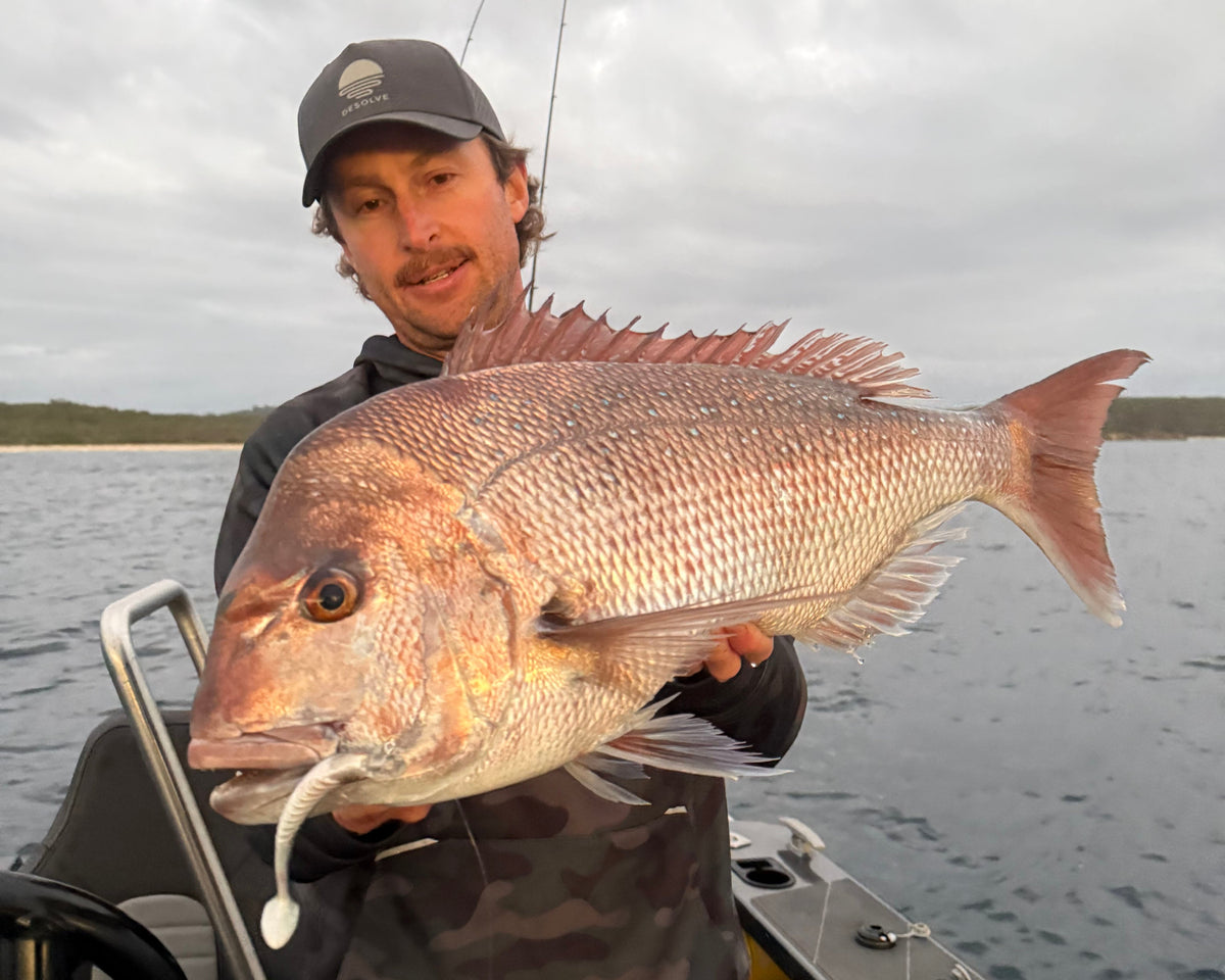 How to Catch Snapper in Shallow Water: Soft Bait Tips That Work