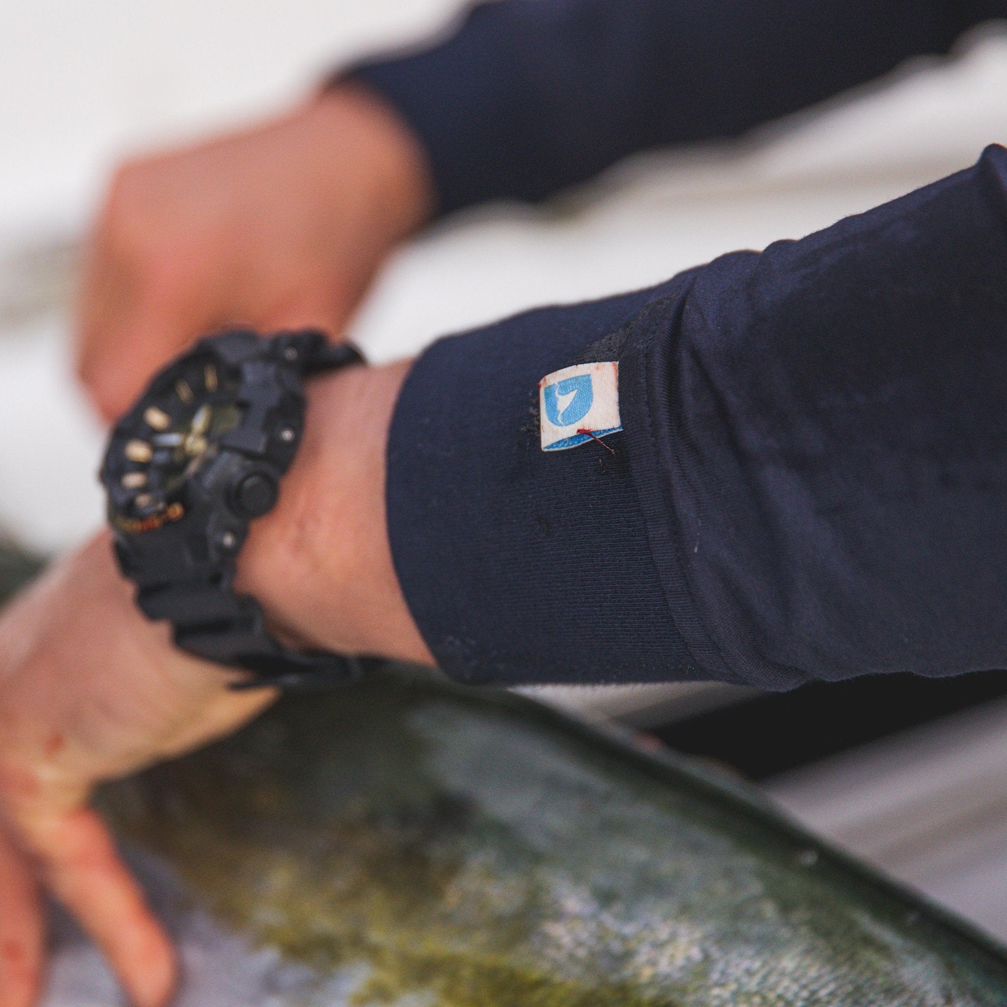 DSC Lightweight Hood